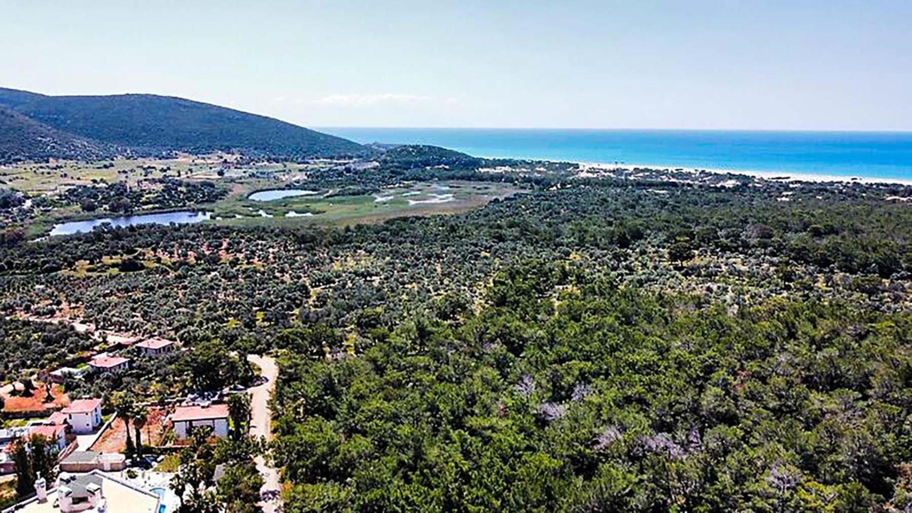 The Nix Hotel Patara Beach Екстериор снимка